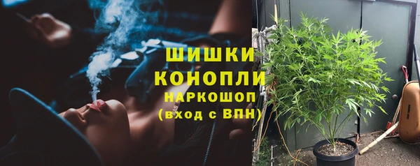 гидра Нея